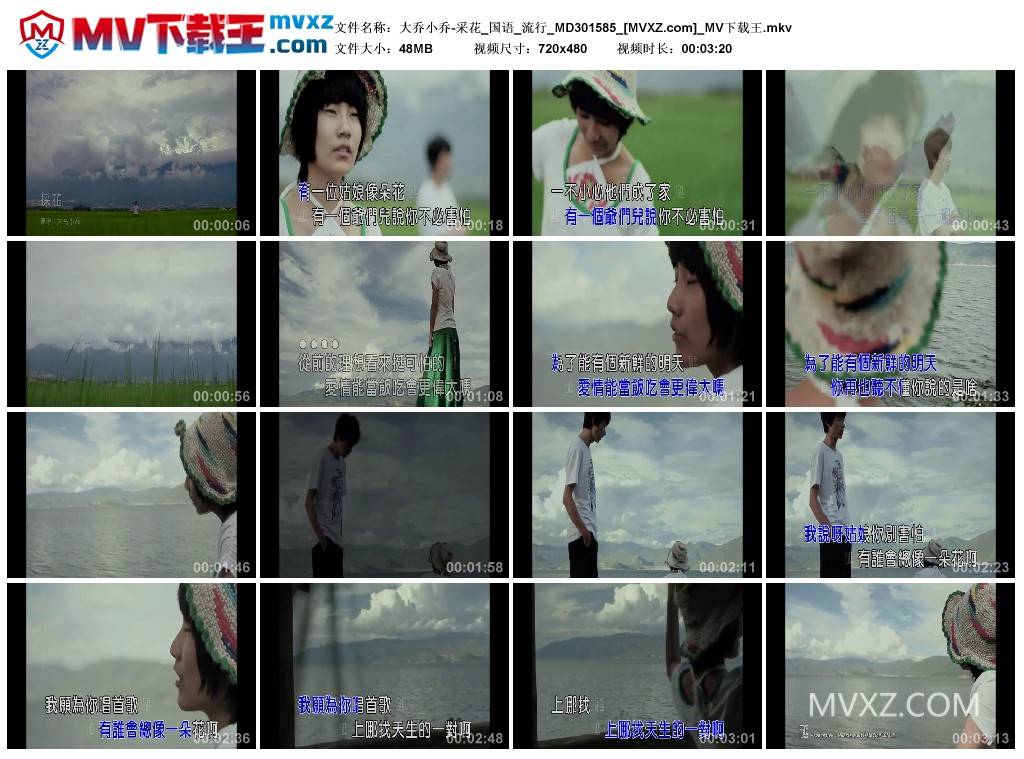 大乔小乔-采花_国语_流行_MD301585